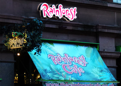 Illuminated  Signs for Rainforest Cafe
